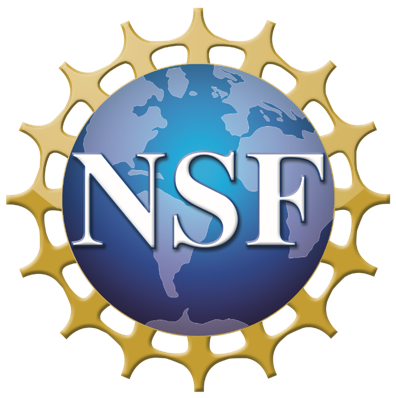 Logo NSF